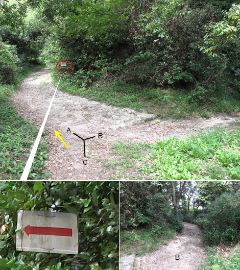 20150924hike (86)